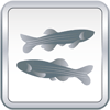 icon_Fish.gif