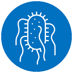 �t�@�[�W�f�B�X�v���C�@