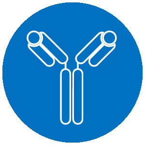 ���R���r�i���g�R��