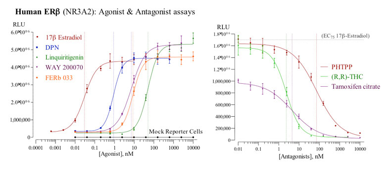 idg_20100304_Figure1-d.jpg
