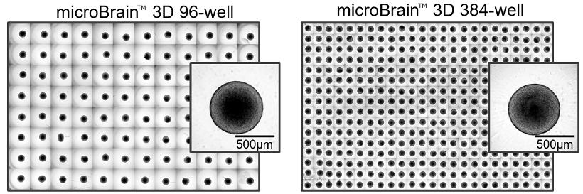 96 well plate384 well plate2ނ̃tH[}bg