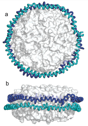 ~ՏHDL̕qxgfɂimfBXN\