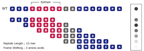 peputide_array_CPAP1