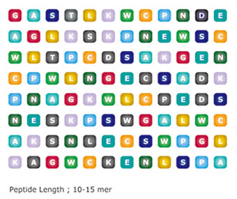 peputide_array_CPAP4
