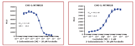 Gi^GPCR̃ASjXg^A^SjXgpʈˑȐ