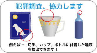 犯罪調査、協力します!例えば切手、カップ、ボトルに付着した唾液を検出できます。