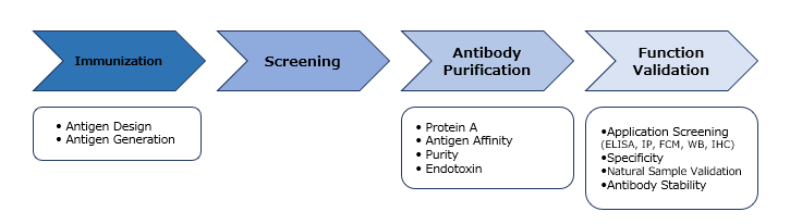 protein-antibody-service-sin_04.png