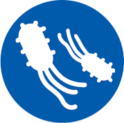 protein-expression-service-ecoli1.png