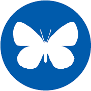 protein-expression-service_insect2.png
