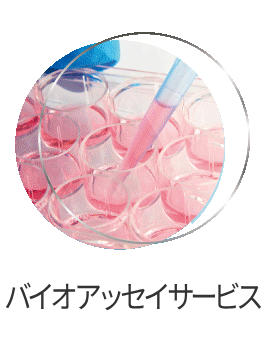 oCIAbZCT[rX