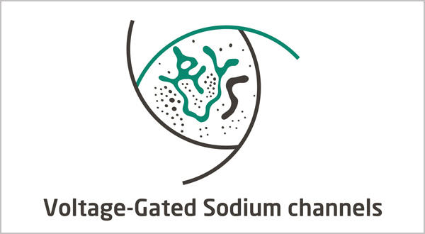 Voltage-gated Sodium Channels