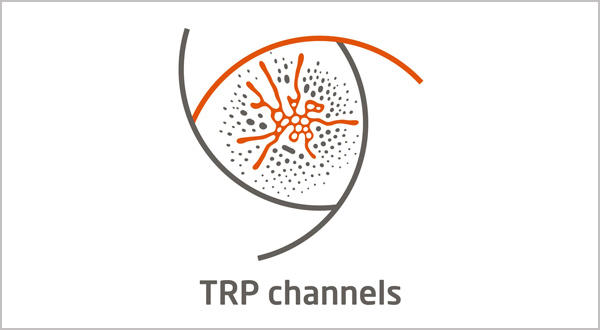 TRP Channels