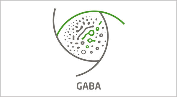 GABA-A receptors