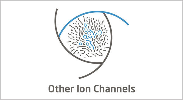 Other Channels