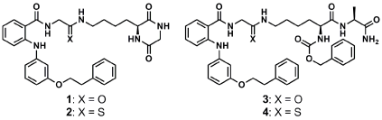 SIRT2 選択的阻害薬の構造