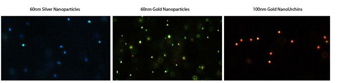 銀ナノ粒子、金ナノ粒子、金ナノアーチンの暗視野検鏡イメージ