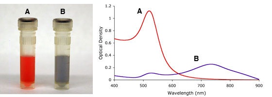 15nmの金ナノ粒子の外観（左図）とUV-Visスペクトル（右図）