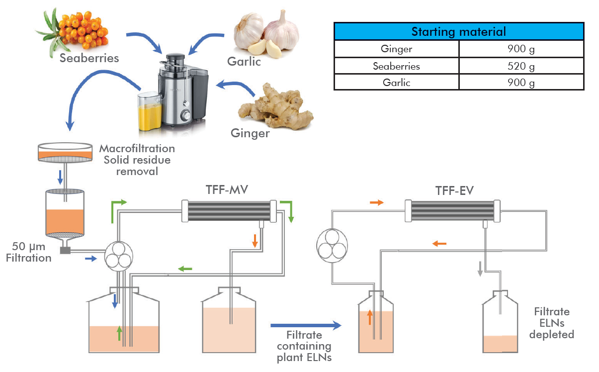 HNB_tex_teff_plant_ev_.png