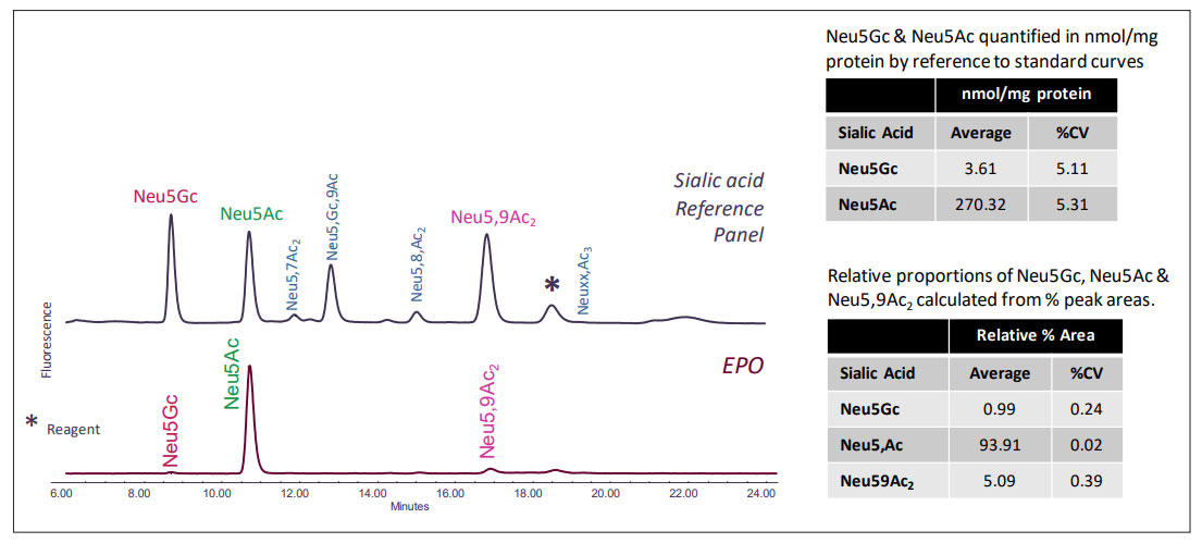 EPO中のシアル酸の同定・定量