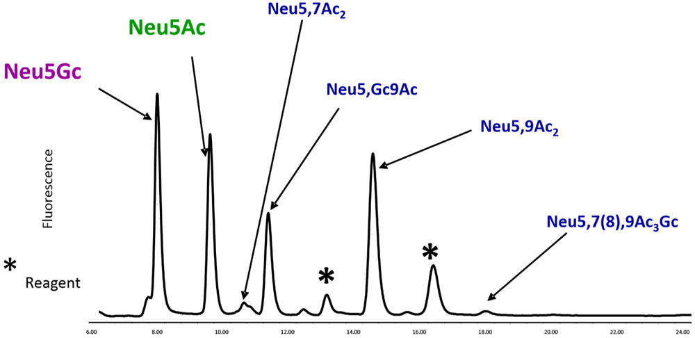 RP-HPLC ɂDMBxꂽVA_t@Xpl̕