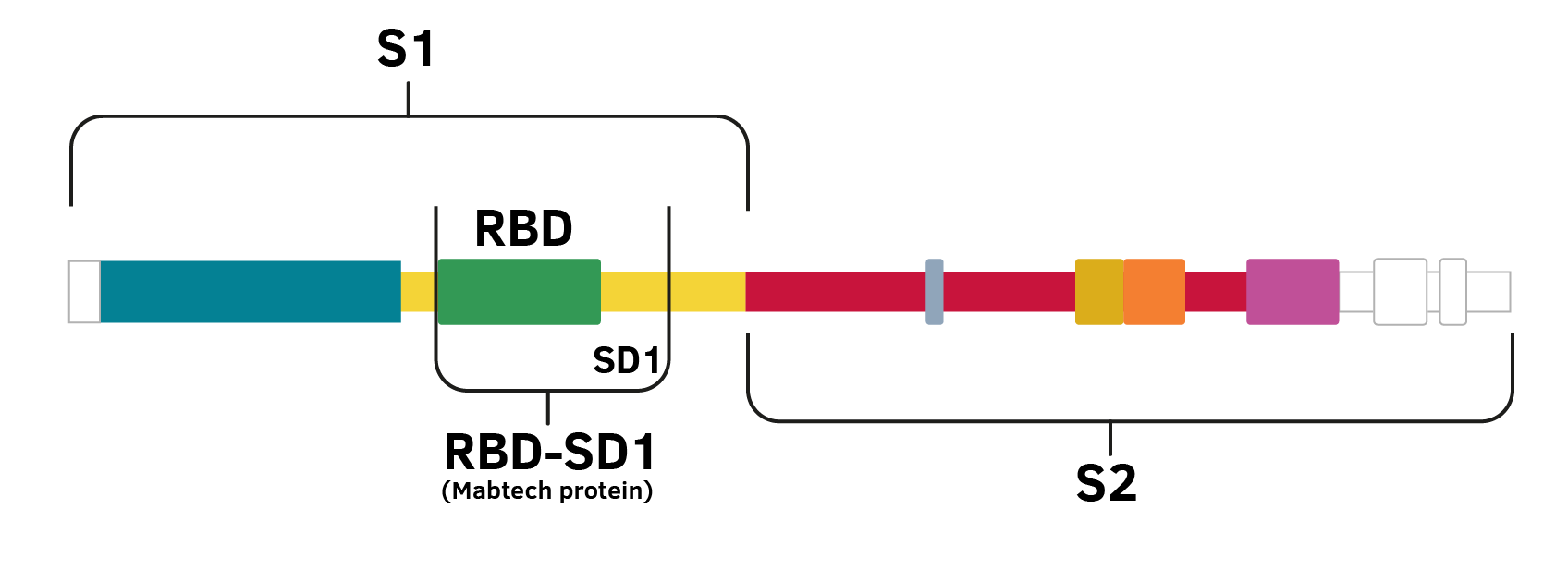 RDBŘo