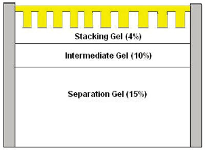 PGI_Protocol_3_2.jpg