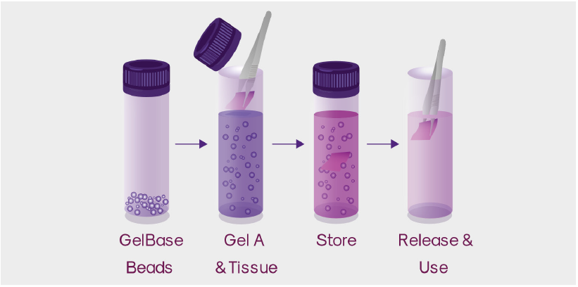 beadready-wellready-tissueready-protocol-atx_02.png