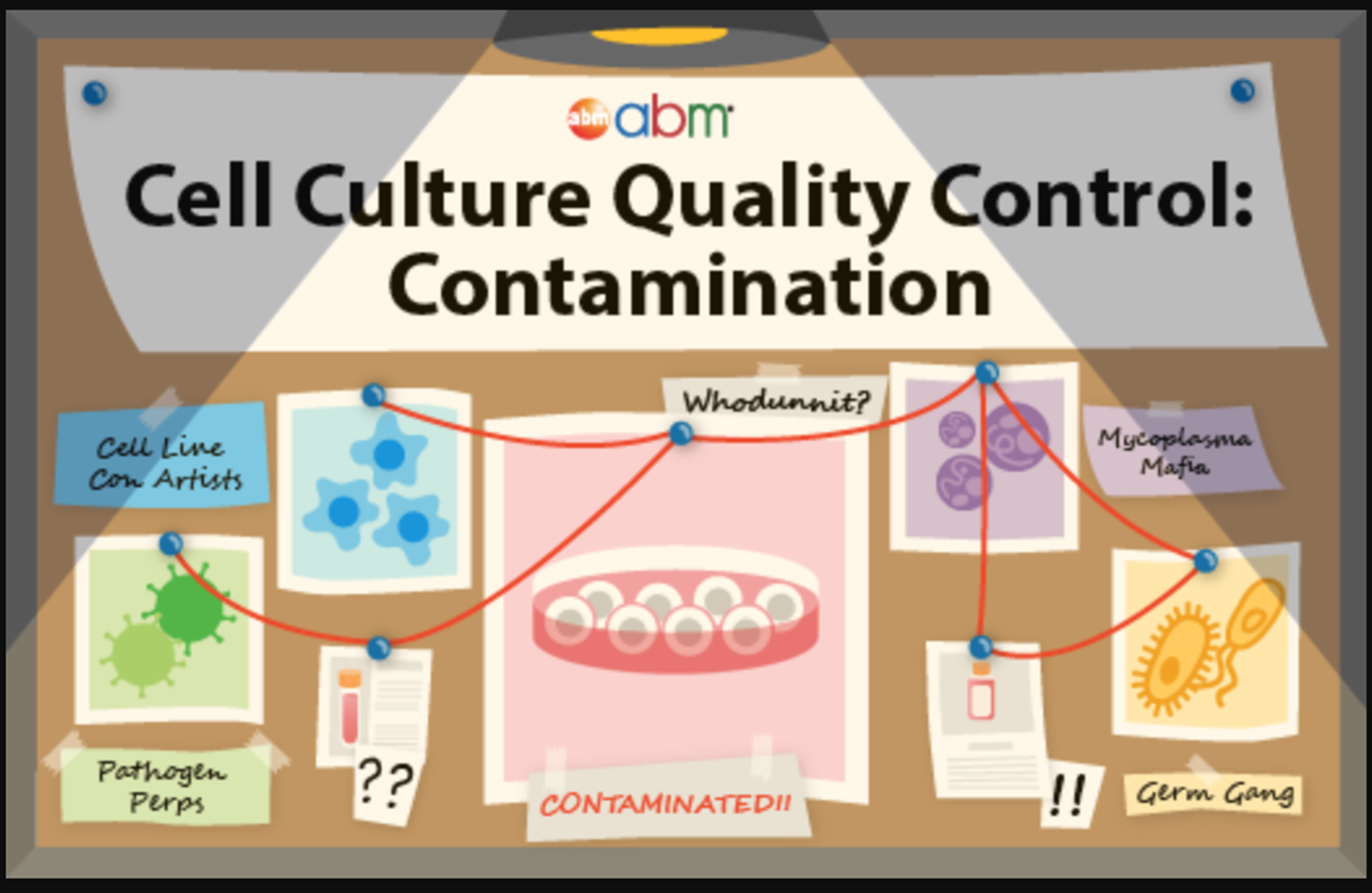 cell-culture-quality-control-contamination-apb_01.png