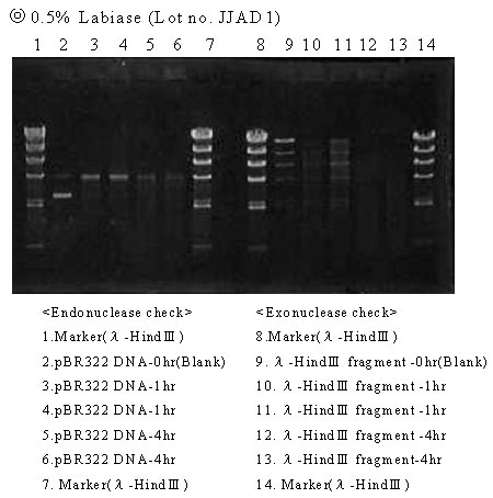 ozk_labiase_11.jpg