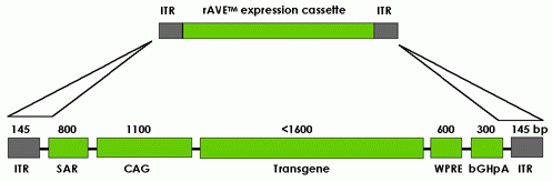 products_GDC_20030512_ravecassette.gif