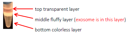 pureexo-exosome-isolation-kit-protocol-obl_03.png