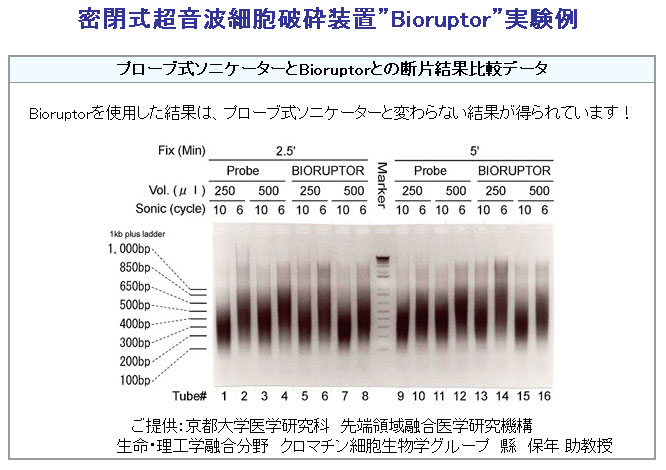 tech_ChIP_20031216_tech_chip3_20031216_01.jpg