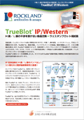 bNh TrueBlotł炵