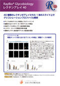 CoCIЁ@N`AC炵