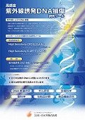 コスモ・バイオ　紫外線誘発DNA損傷ELISAキット＆抗体折りパンフレット　改訂版
