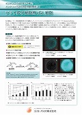 コスモ・バイオ　ラット膵β細胞株 iGL細胞チラシ2019年6月改訂版