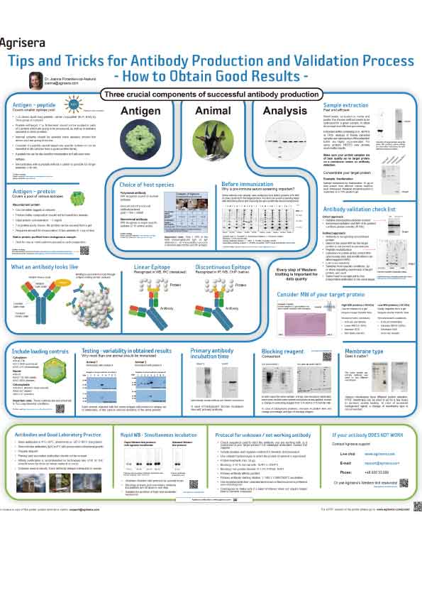アグリセラ社 Tips and tricks for antibody production and validation process printed 20200515 ポスター