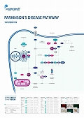 プロテインテック社　Parkinson’s disease Pathway ポスター