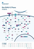 veCebNЁ@Rho FAMILY GTPases Pathway |X^[