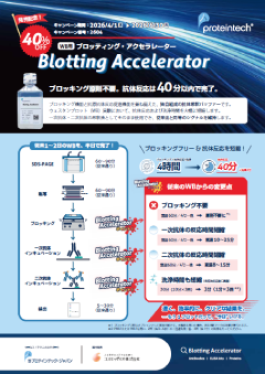 Blotting Accelerator �L�����y�[���`���V�iPDF�j